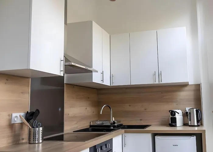 Bel Avec Jardin Privé - Centre * Reims