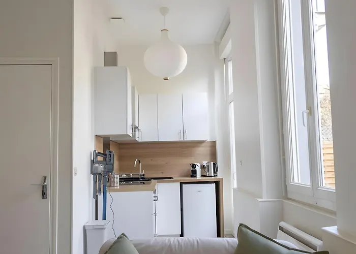 Bel Avec Jardin Privé - Centre * Reims