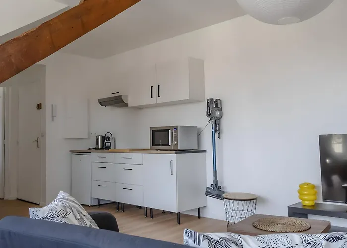 Bel Avec Jardin Privé - Centre * Reims